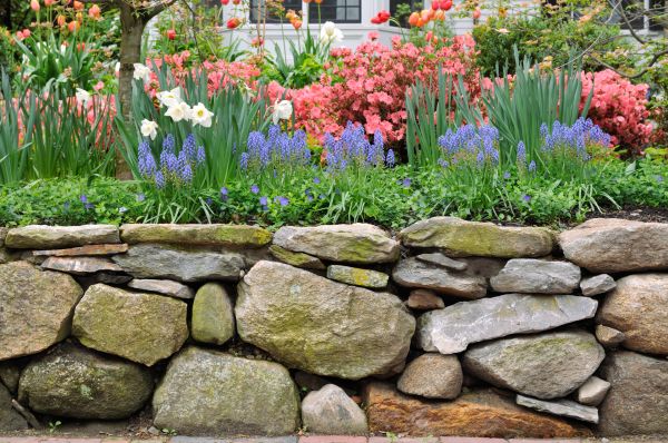 Stone Wall Hardscaping in Westlake