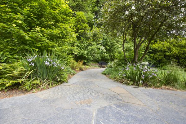 Stone Hardscape Service in Westlake