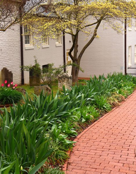 Brick Flatwork Repair in Westlake